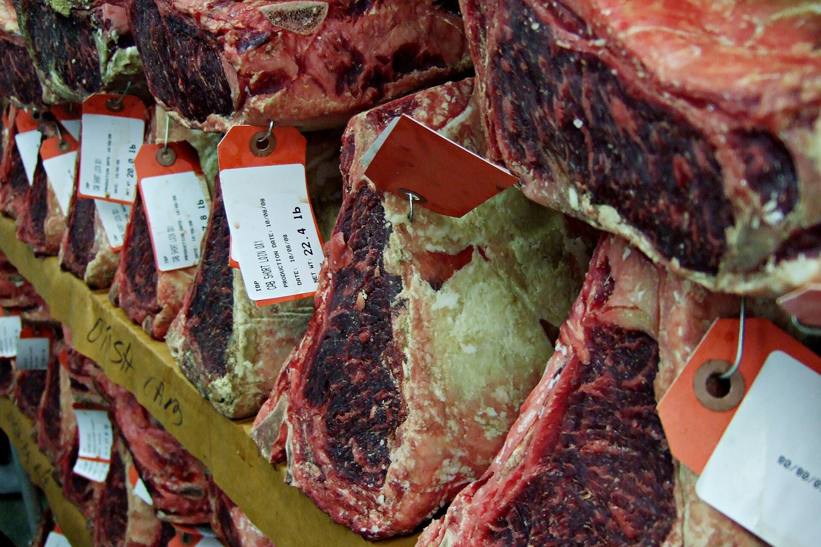 Beef primals hanging in a dry-aging room, each tagged for tracking